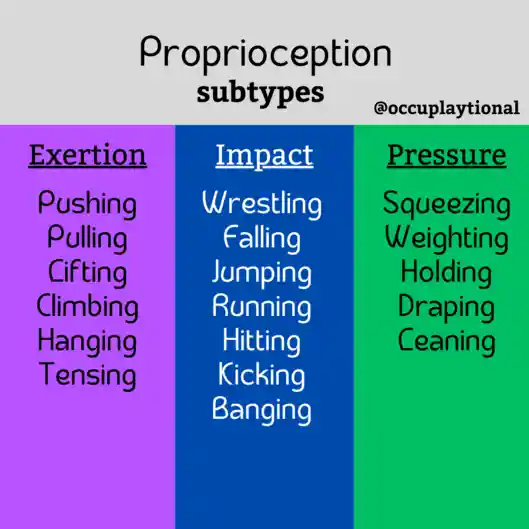 three types of proprioceptive sensory input