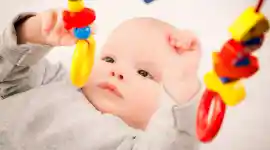 Infant Discovery of Object Permanence