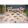 Wooden Reptile & Amphibian Blocks
