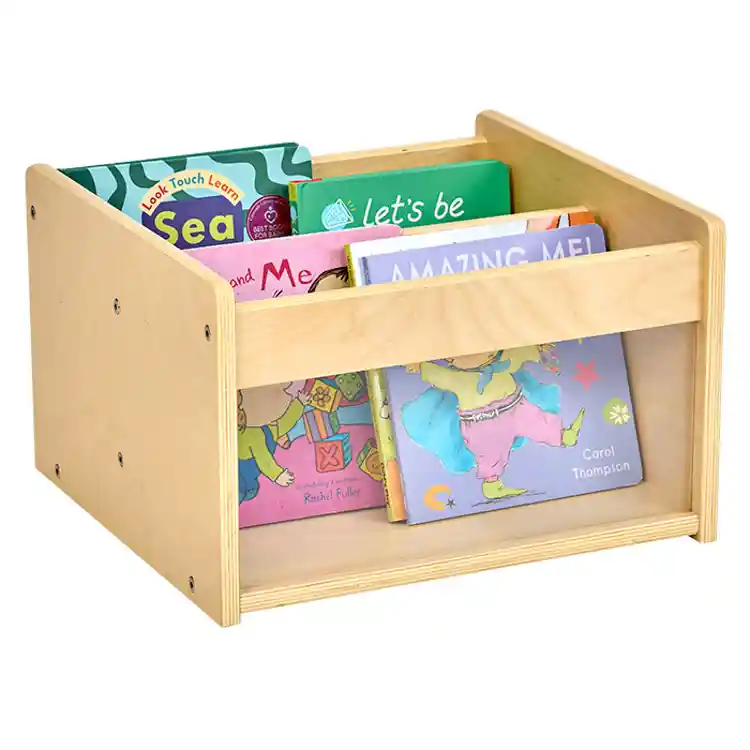Look & See Book Bin