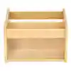 Look & See Book Bin