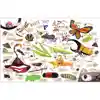 Theme Book Set: Insects & Spiders