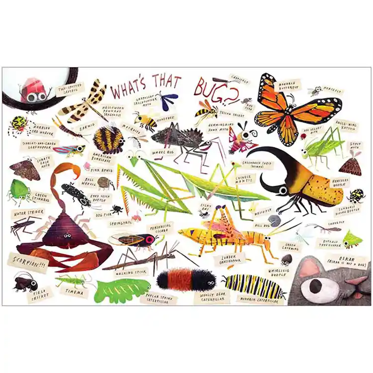 Theme Book Set: Insects & Spiders