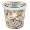 Bucket O' Sea Shells, Natural