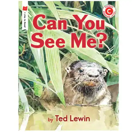 Can You See Me?