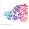 Color Reveal Textures Paper