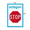 Colorful Photo Shapes & Colors Cards Bulletin Board Set