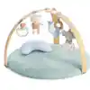Cozy Spot Activity Gym