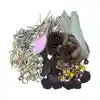 Naturals Woodland Wonders Set