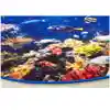 Explore the Ocean Rug