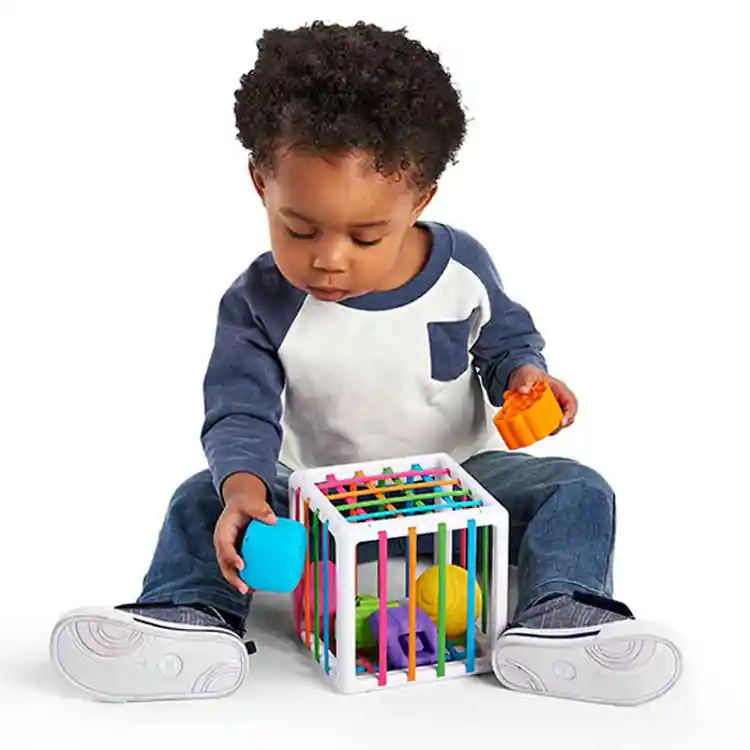 Building Baby's Brain Collection