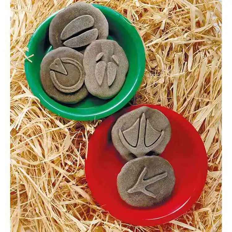 Farm Yard Footprint Stones