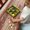 Nature's Sorting Box