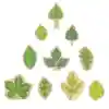 Stacking Leaves