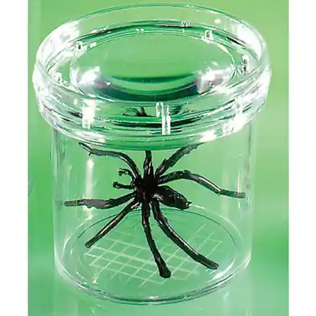 GeoSafari® Jr. Bug Viewer