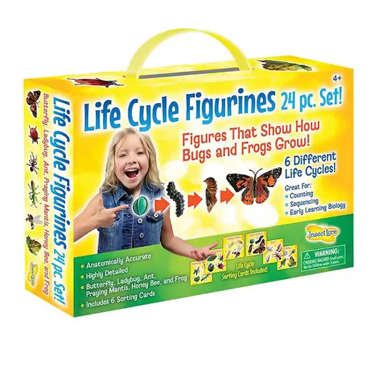 Life Cycle Figurines Classroom Set
