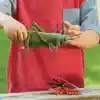 Jumbo Insects