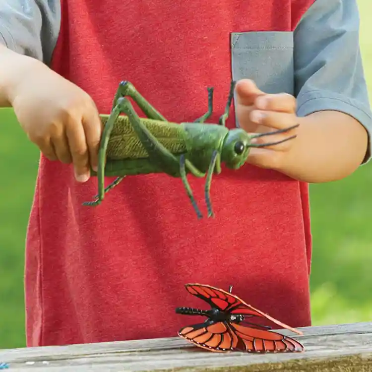 Jumbo Insects