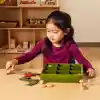 Nature's Sorting Box