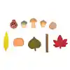 Nature's Sorting Box