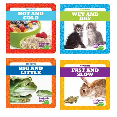 Opposites Board Book Set