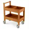 Outdoor Art Supply Cart