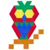Pattern Block Activity Set
