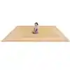 Portrait Classroom Rugs