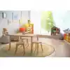 Portrait Classroom Rugs