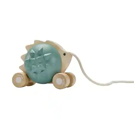 Pull-Along Hedgehog