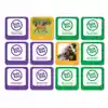 Seek-A-Boo Memory Game