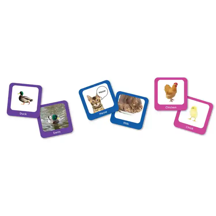 Seek-A-Boo Memory Game