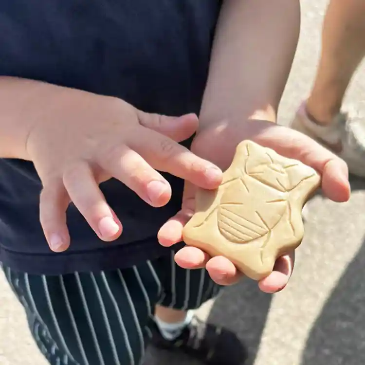Sensory Play Stones, Bugs