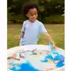 Sensory Play Stones, Fish