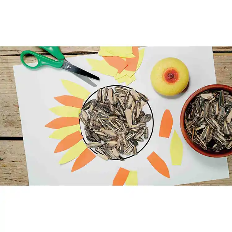 Sensory Play Stones, Flowers