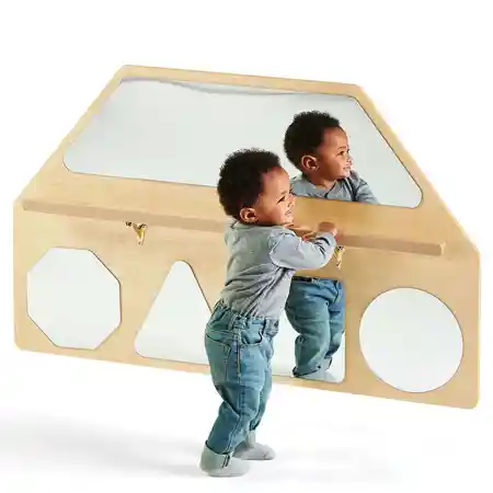 Wall Mirror Shapes with Pull-Up Bar, Hidden Hardware