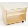 Mobile Sensory Table