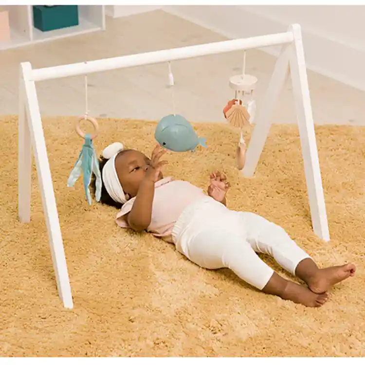 Wooden Activity Gym