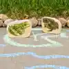 Wooden Reptile & Amphibian Blocks