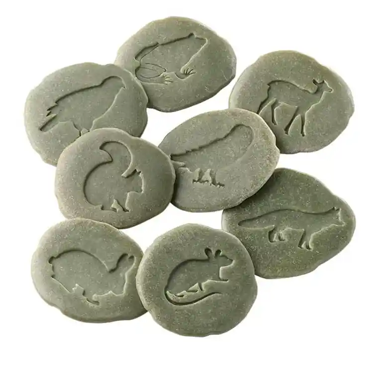 Woodland Footprint Stones