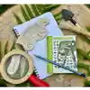 Dig & Discover Dinosaurs