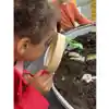 Dig & Discover Dinosaurs