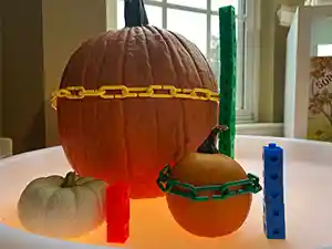 pumpkins being measured by links