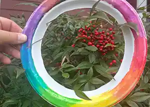 Nature Viewer Rainbow Frame