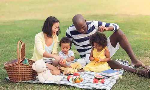 Let’s Have an Alphabet Picnic Activity