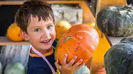Boy holding pumpkin